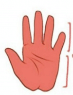 What can your palm’s Heart Line Reveal About Your Relationships